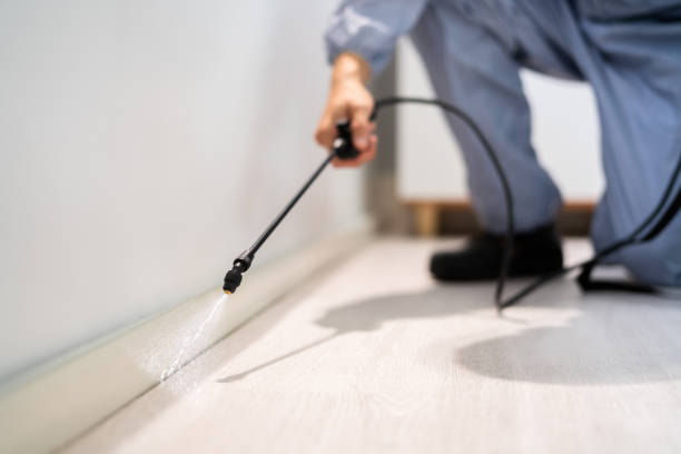 Licensed Pest Control service in Rocky Point, NC - Show Me Pest Control